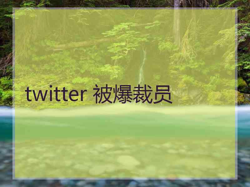 twitter 被爆裁员