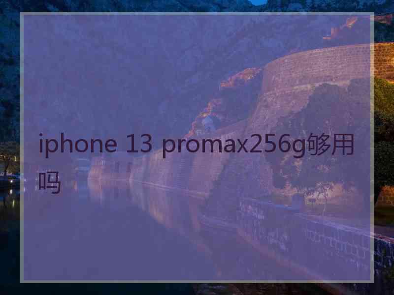 iphone 13 promax256g够用吗