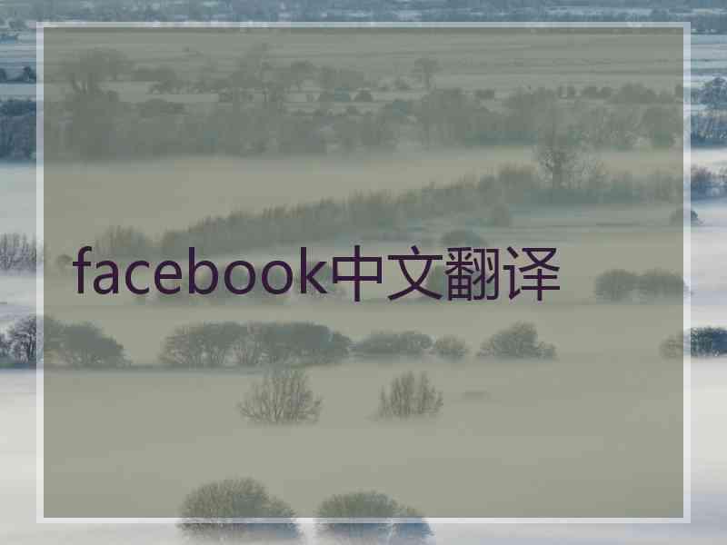 facebook中文翻译