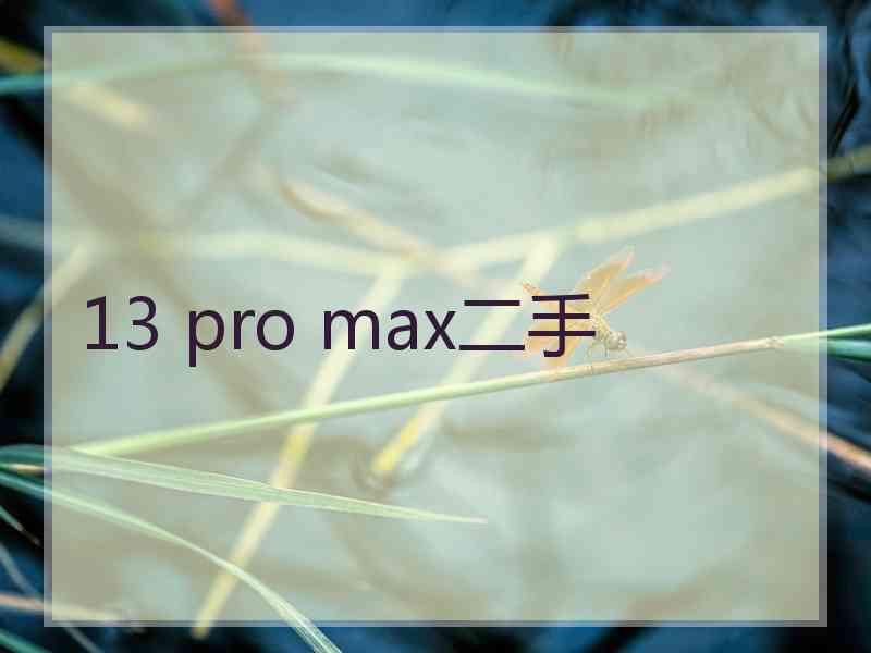 13 pro max二手