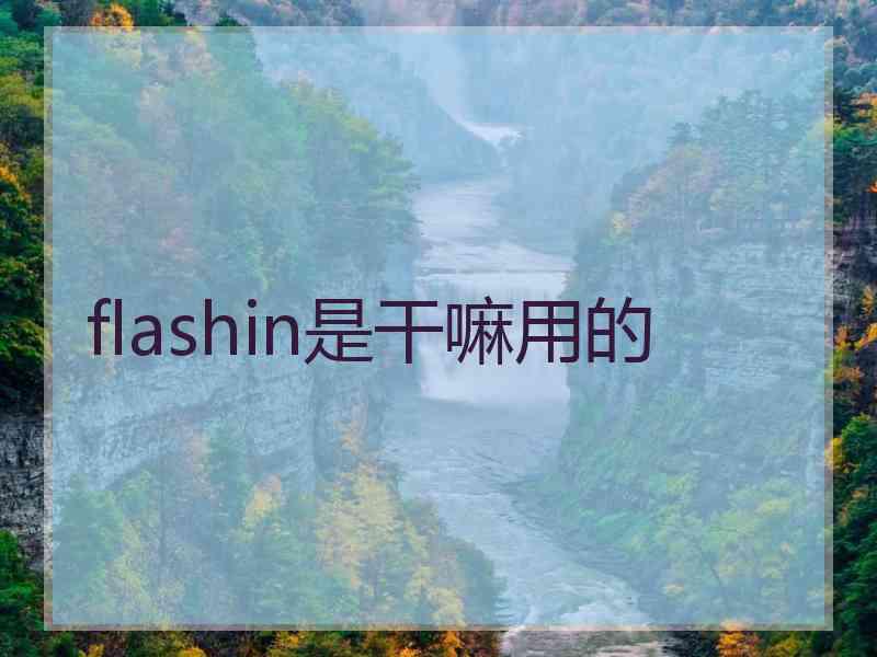 flashin是干嘛用的