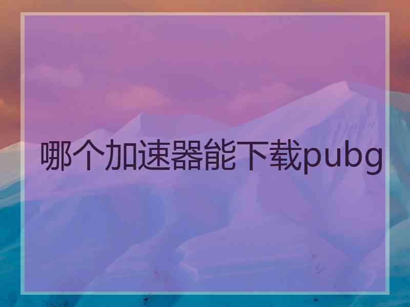 哪个加速器能下载pubg