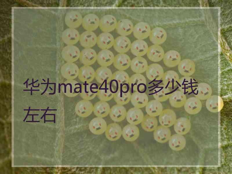 华为mate40pro多少钱左右