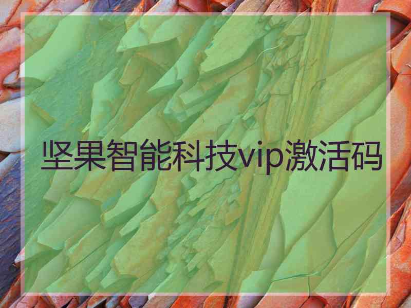 坚果智能科技vip激活码