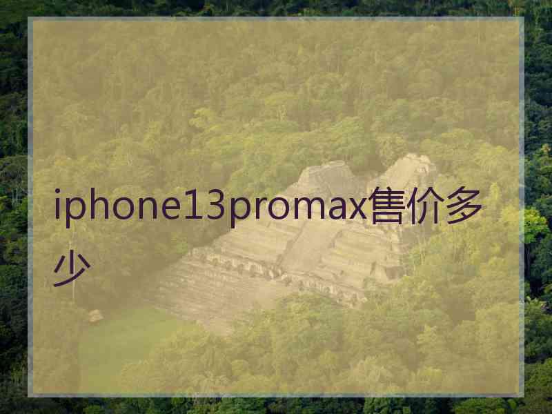 iphone13promax售价多少