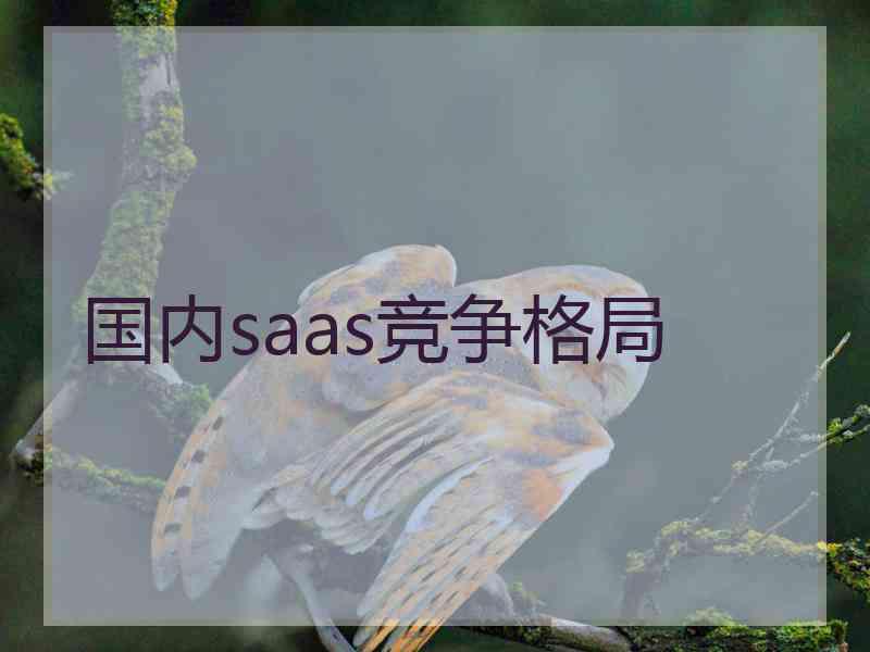 国内saas竞争格局