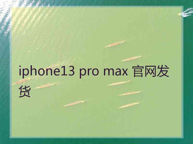 iphone13 pro max 官网发货