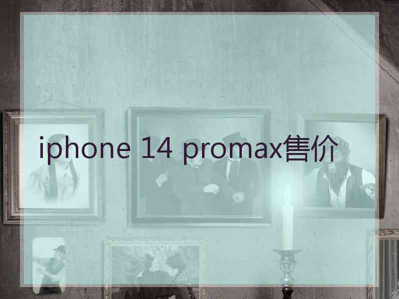 iphone 14 promax售价