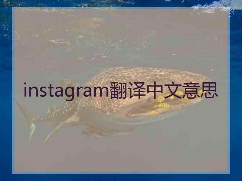 instagram翻译中文意思