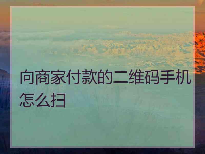 向商家付款的二维码手机怎么扫