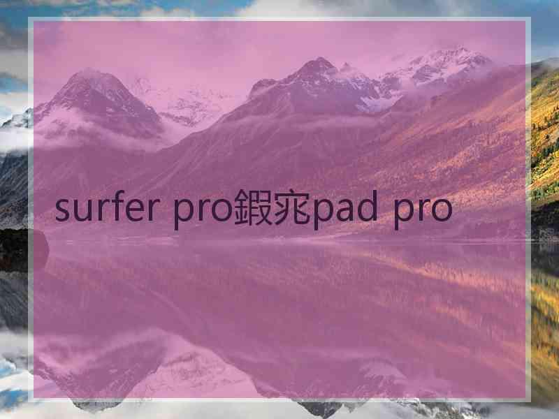 surfer pro鍜宨pad pro