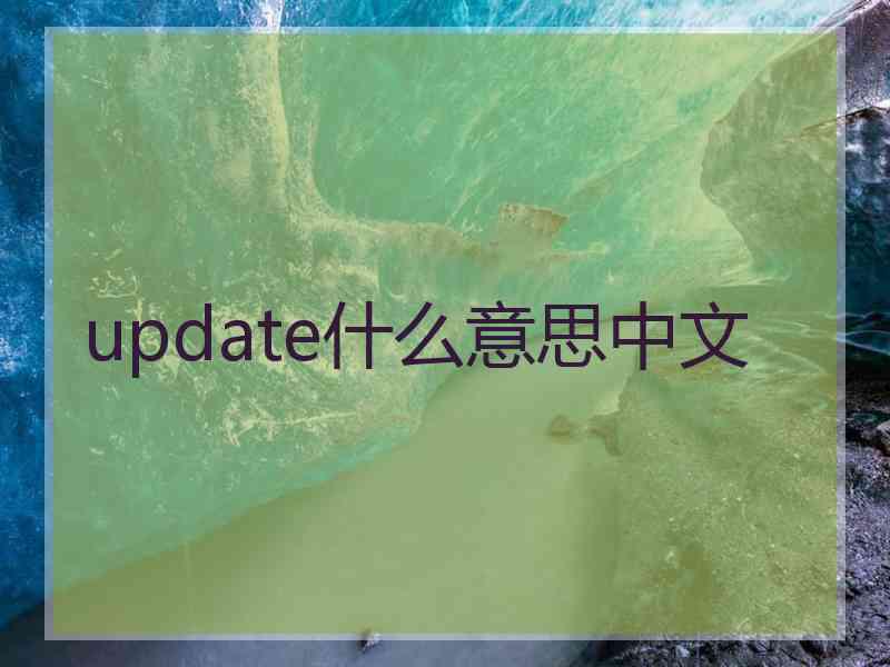 update什么意思中文