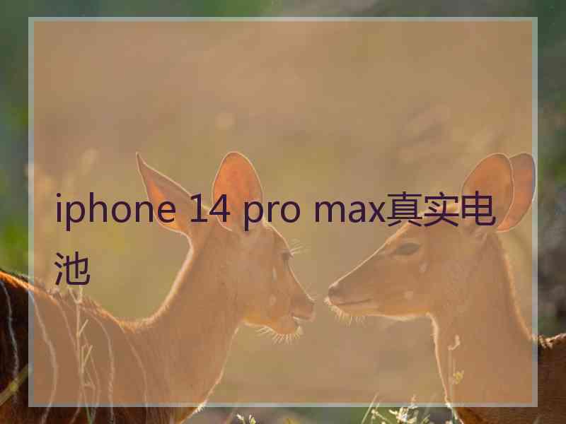 iphone 14 pro max真实电池