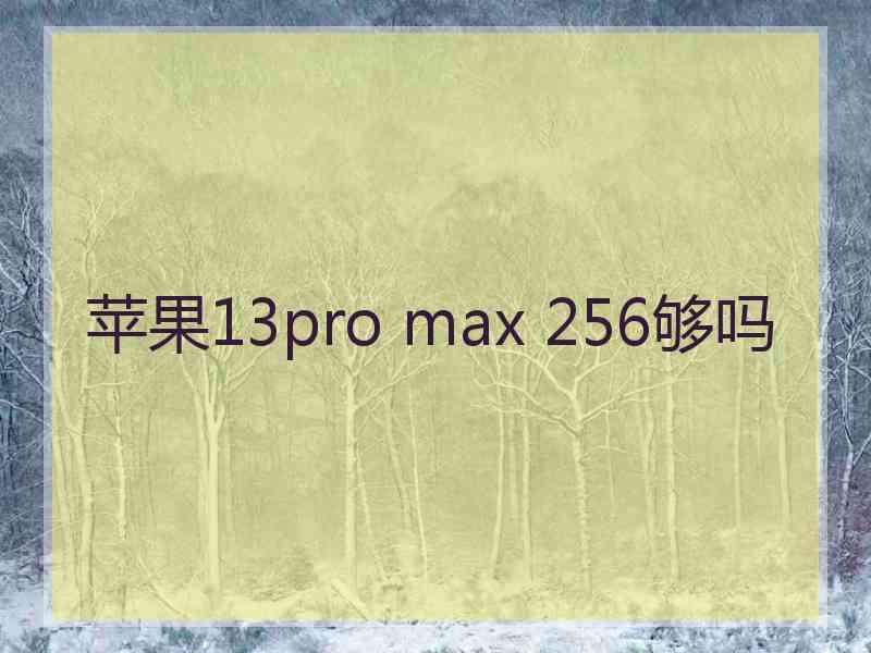 苹果13pro max 256够吗