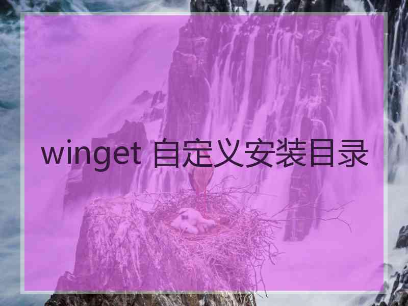 winget 自定义安装目录