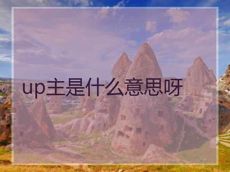 up主是什么意思呀