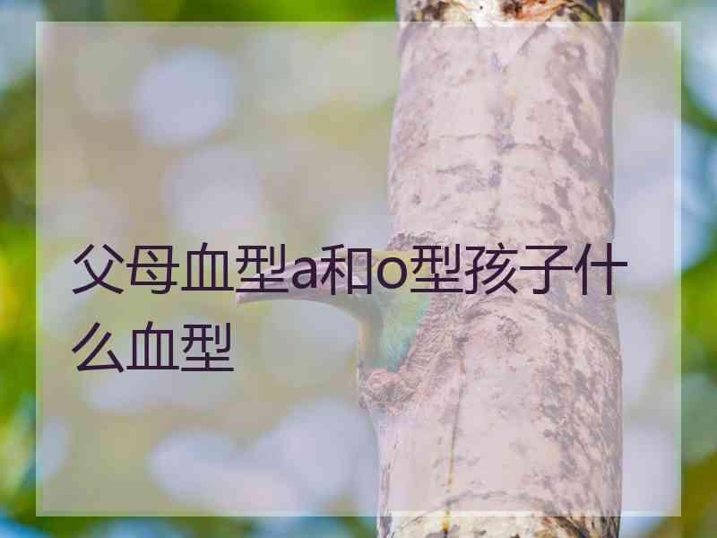 父母血型a和o型孩子什么血型