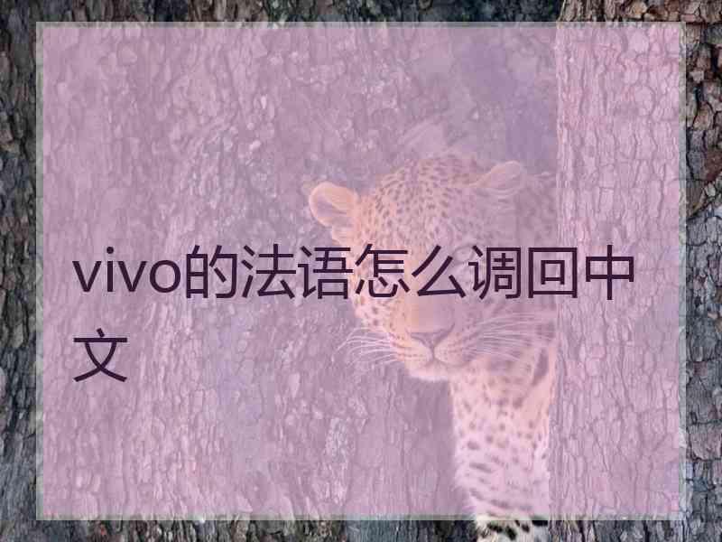 vivo的法语怎么调回中文