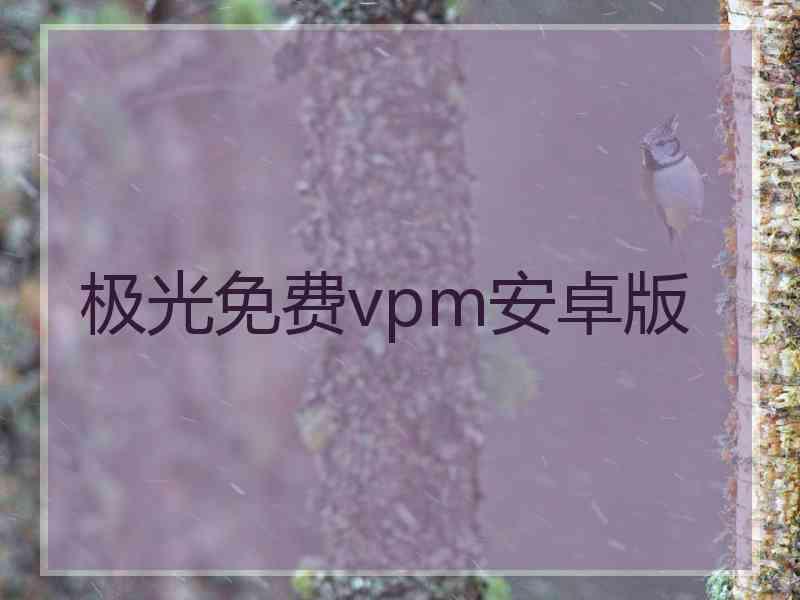 极光免费vpm安卓版