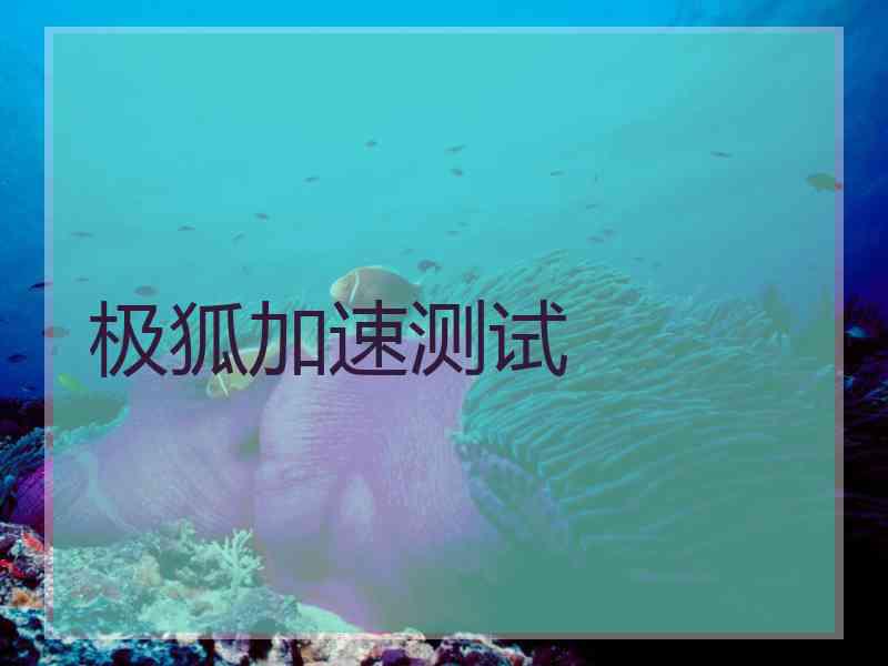 极狐加速测试