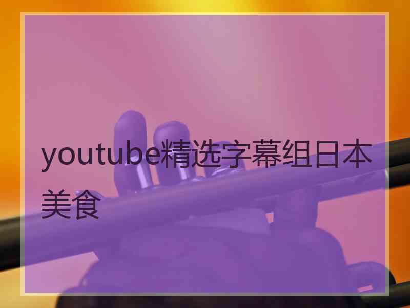 youtube精选字幕组日本美食