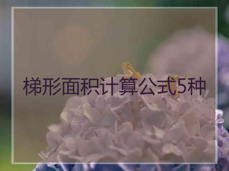 梯形面积计算公式5种