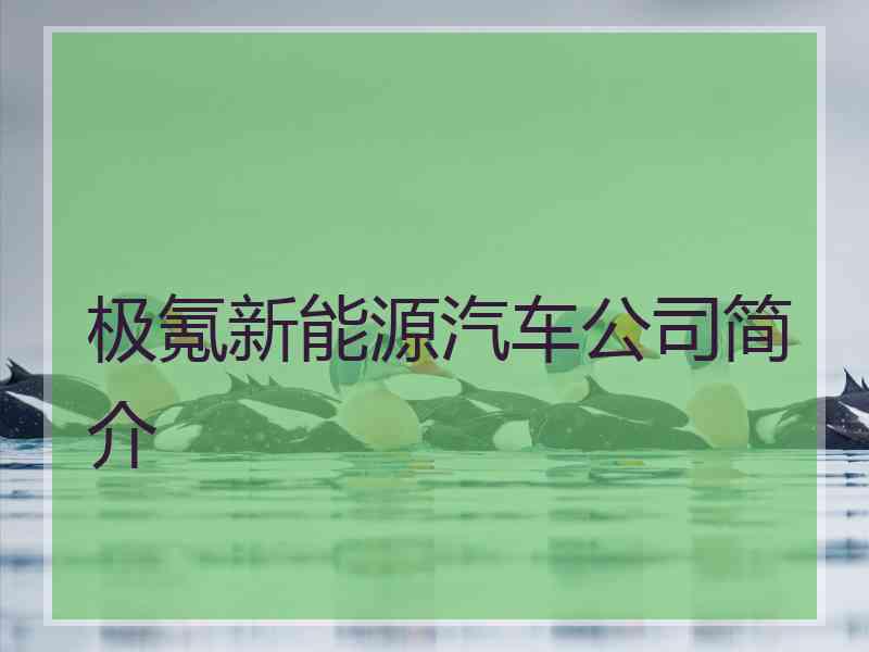 极氪新能源汽车公司简介