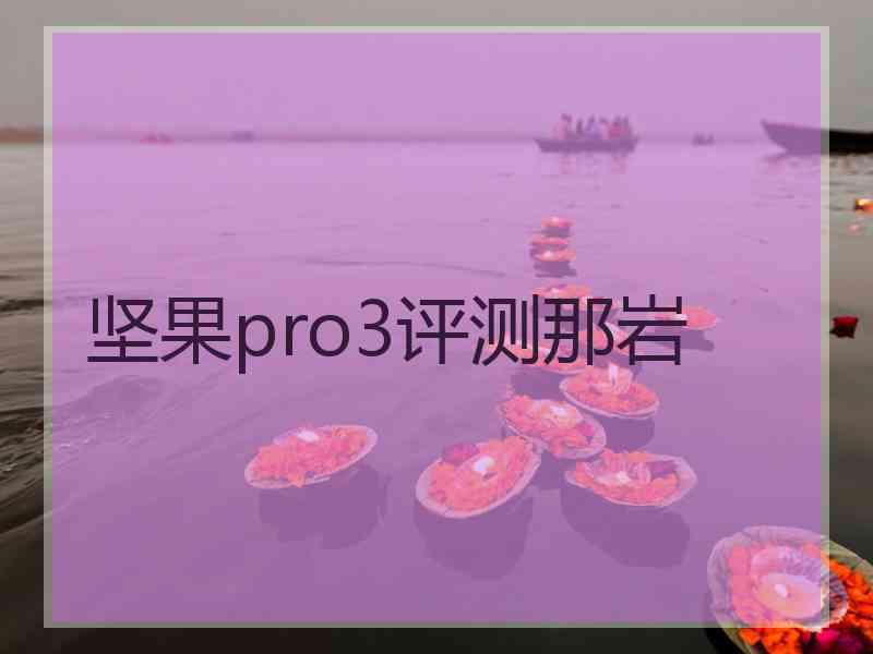 坚果pro3评测那岩