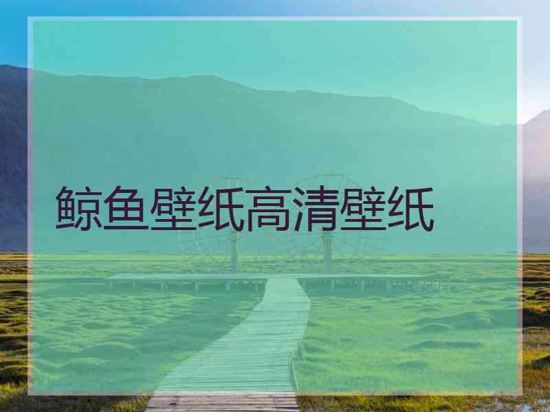 鲸鱼壁纸高清壁纸