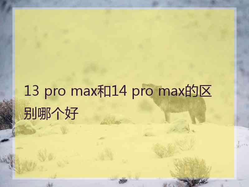 13 pro max和14 pro max的区别哪个好