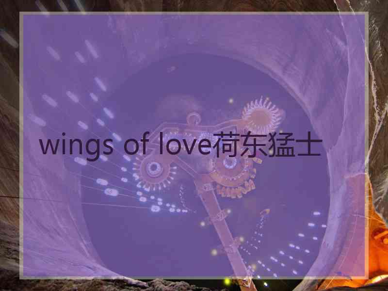 wings of love荷东猛士