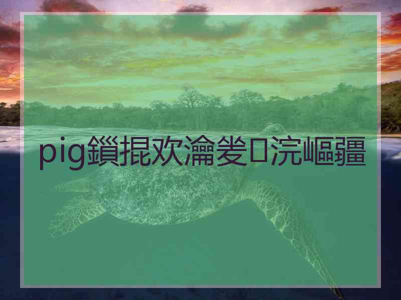 pig鎻掍欢瀹夎浣嶇疆