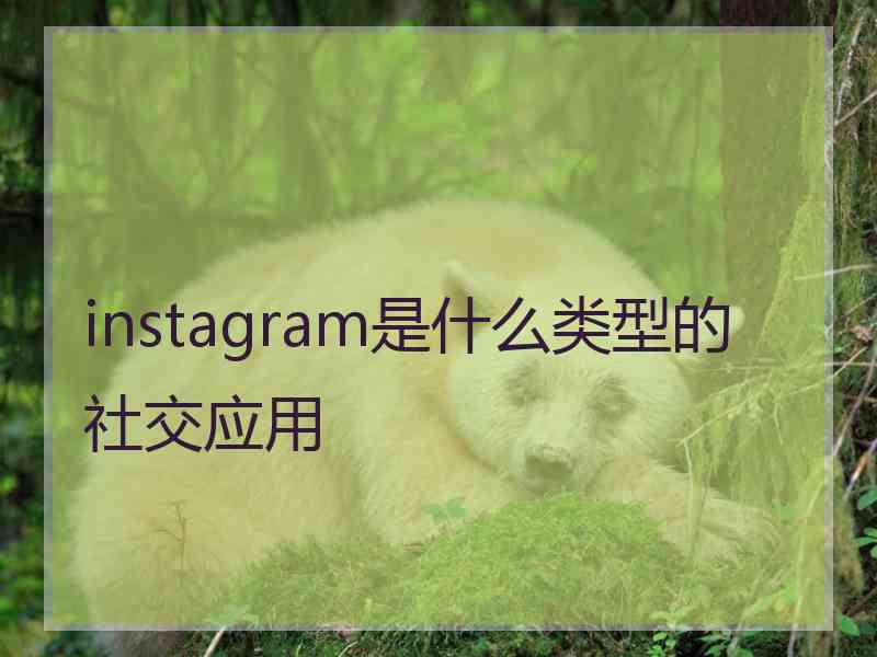 instagram是什么类型的社交应用