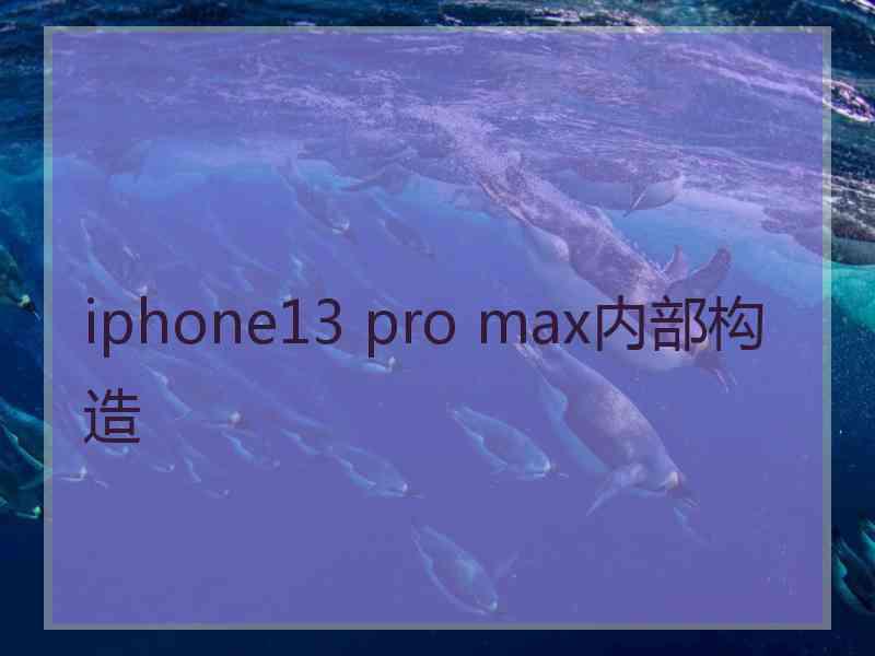 iphone13 pro max内部构造