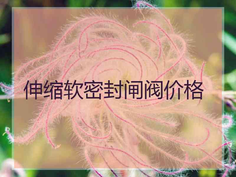 伸缩软密封闸阀价格