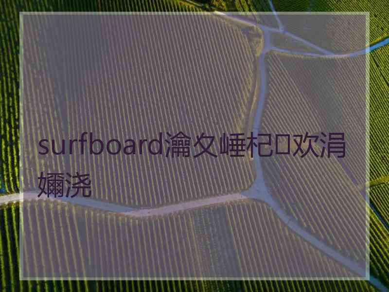 surfboard瀹夊崜杞欢涓嬭浇