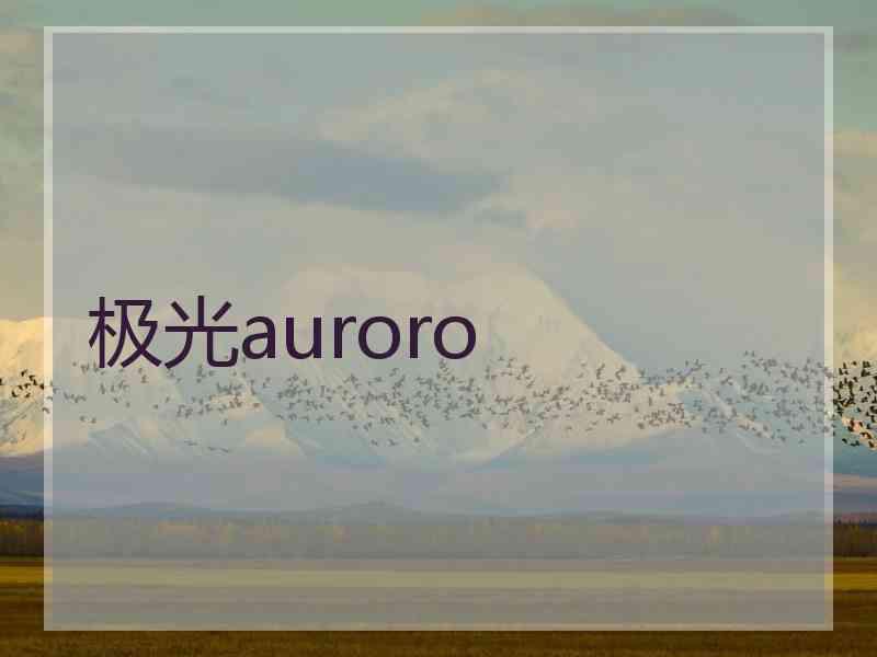 极光auroro