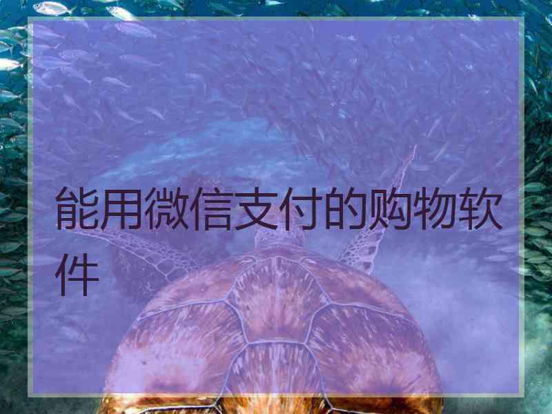 能用微信支付的购物软件