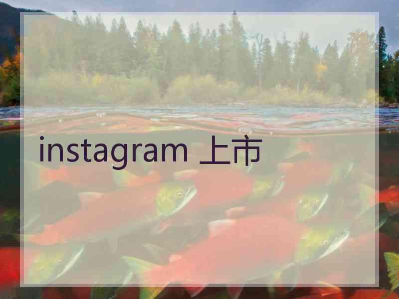 instagram 上市