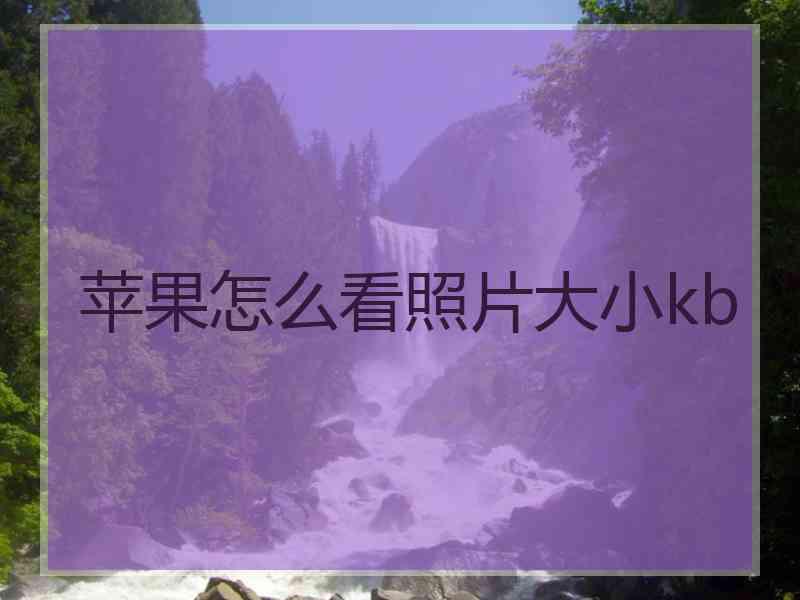 苹果怎么看照片大小kb