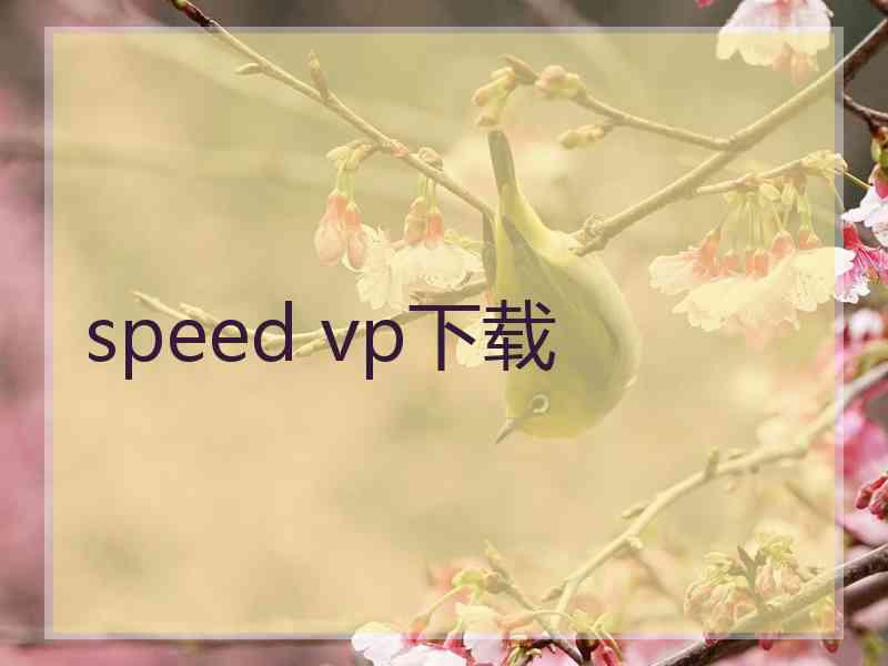 speed vp下载