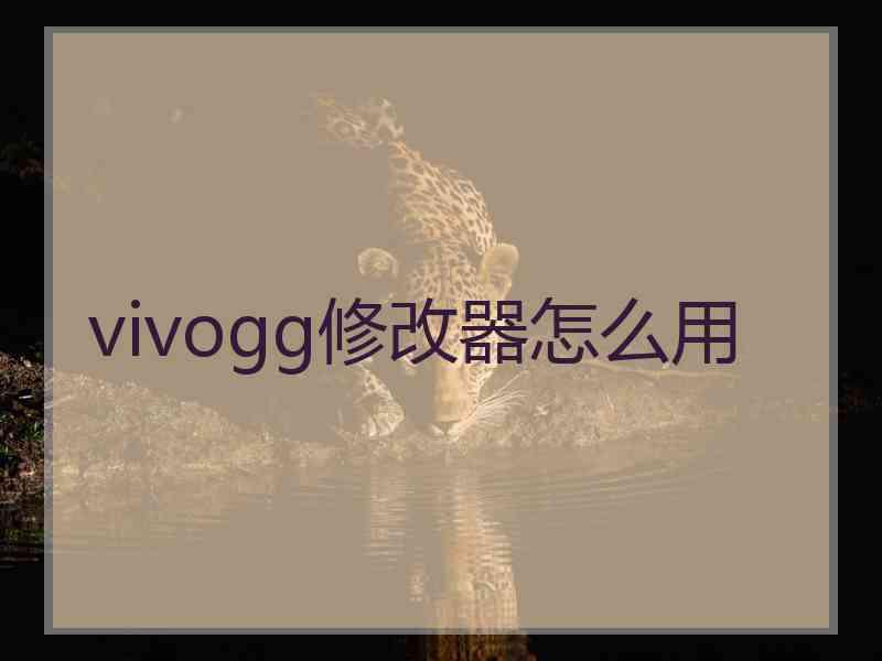 vivogg修改器怎么用