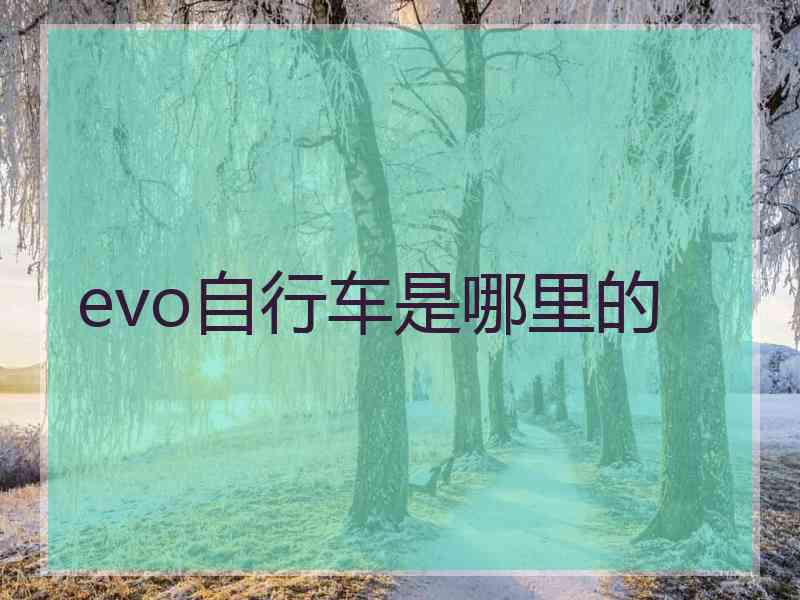 evo自行车是哪里的