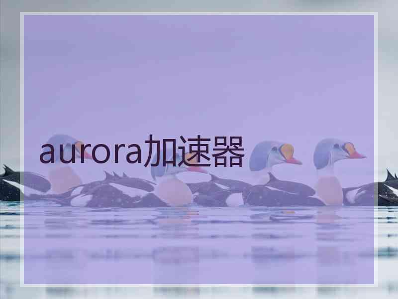 aurora加速器