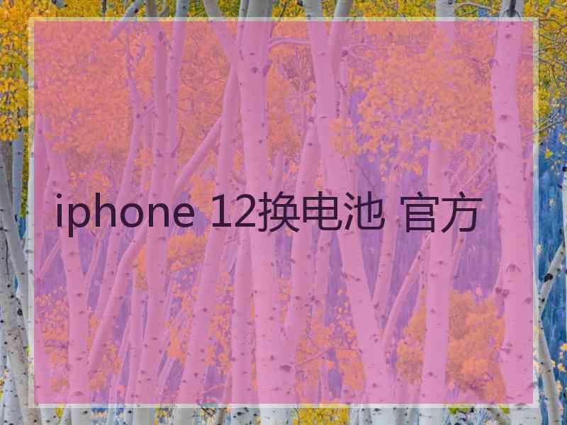 iphone 12换电池 官方