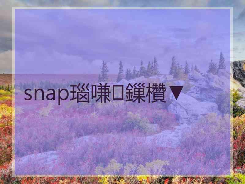 snap瑙嗛鏁欑▼