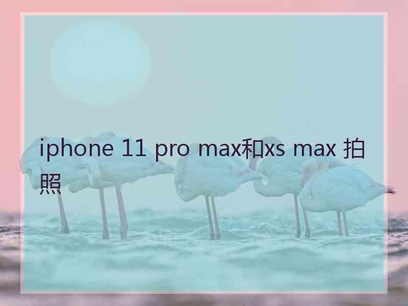 iphone 11 pro max和xs max 拍照