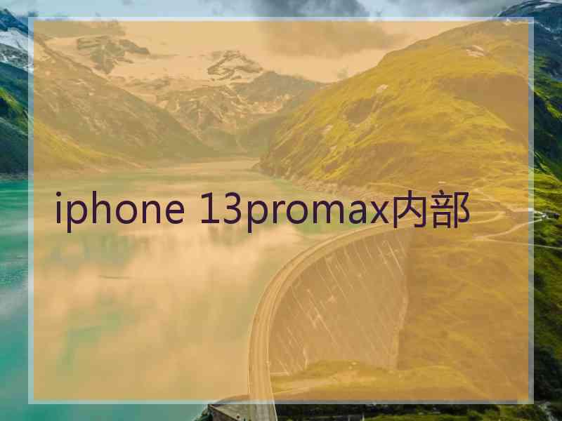 iphone 13promax内部