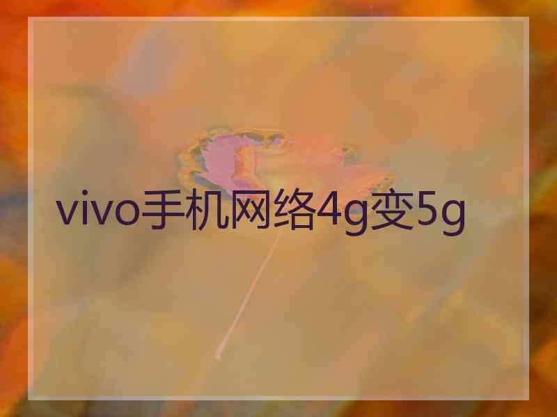 vivo手机网络4g变5g