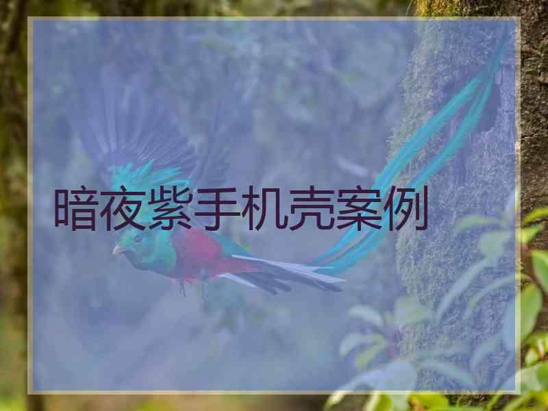 暗夜紫手机壳案例